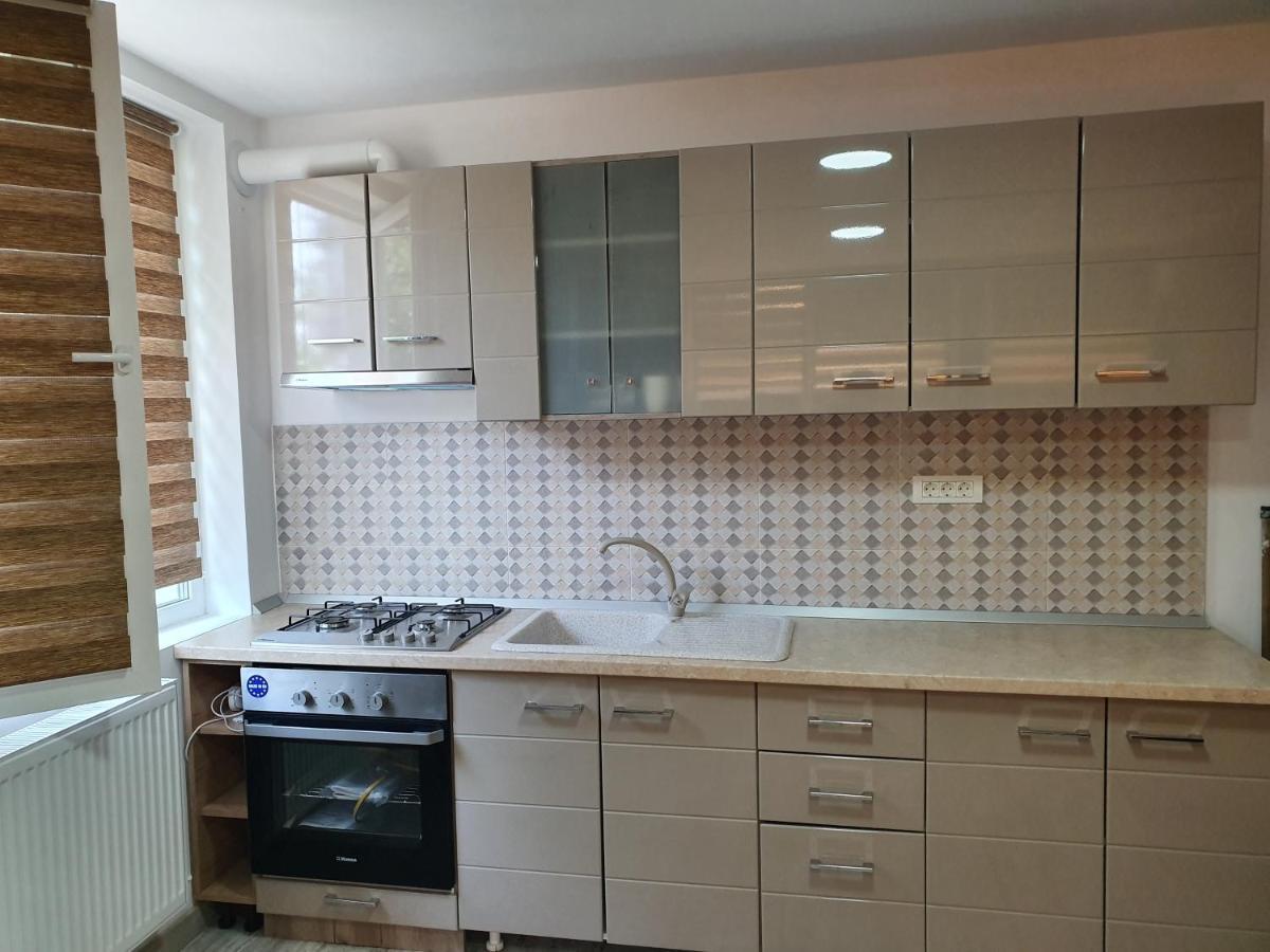 Apartament Negris Bîrlad 外观 照片