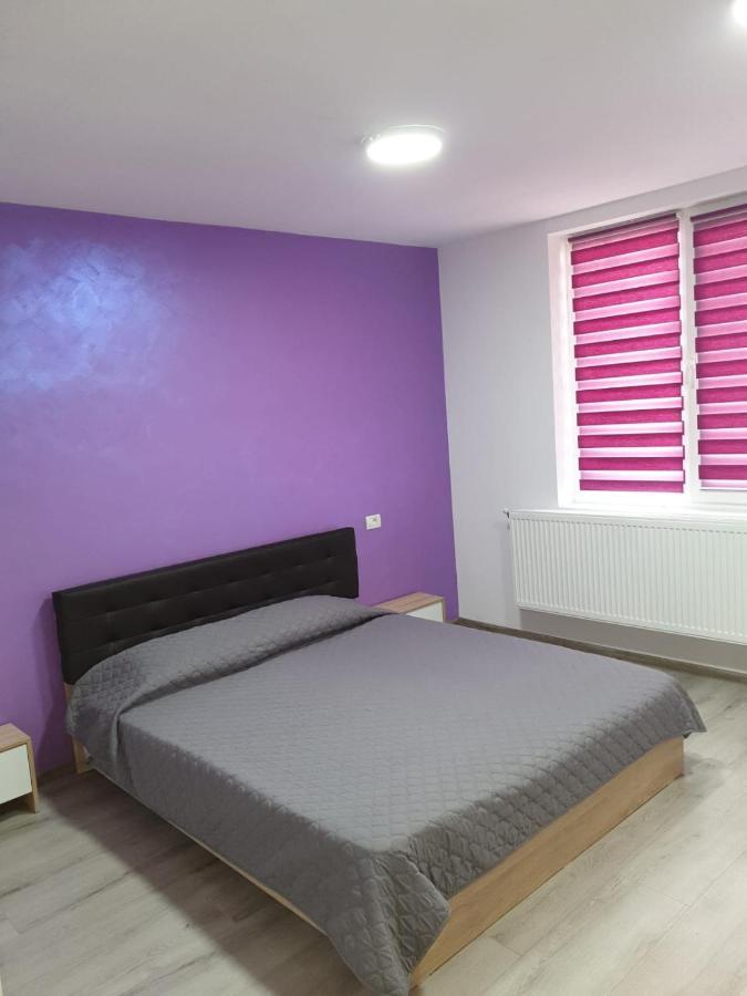 Apartament Negris Bîrlad 外观 照片